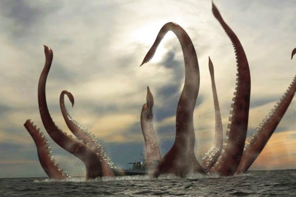 Kraken  ссылки