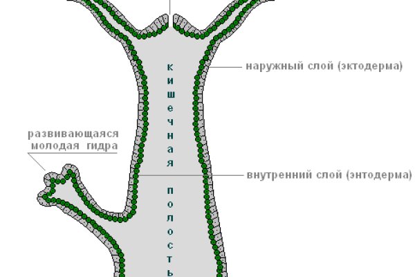 Кракен онион